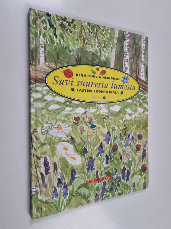 Reija-Tuulia Heinonen : Suvi suuresta lumesta : lasten lu...