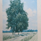 CCCP: vintage ehiökortti - pikkukuva 4