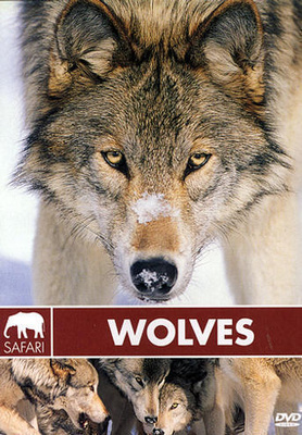 safari wolves	(59 035)	UUSI	-FI-		DVD				60min, sudet