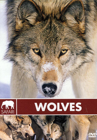 safari wolves	(59 035)	UUSI	-FI-		DVD				60min, sudet