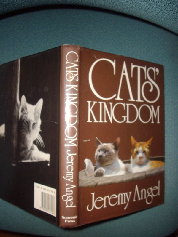 Jeremy Angel: CAT`S KINGDOM (1985) Sis.postikulut