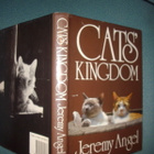 Jeremy Angel: CAT`S KINGDOM (1985) Sis.postikulut - pikkukuva 1