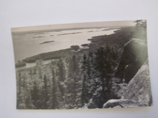 VANHA Postikortti Koli 1953 Yläkoli Rivileima