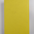 Paul Auster : Sunset Park - pikkukuva 2