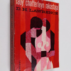 D. H. Lawrence : Lady Chatterleyn rakastaja - pikkukuva 1