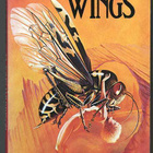 M. John Harrison: A Storm of Wings - pikkukuva 1