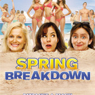 SPRING BREAKDOWN (35 925) k -FI- DVD amy poehler 2009 - pikkukuva 1