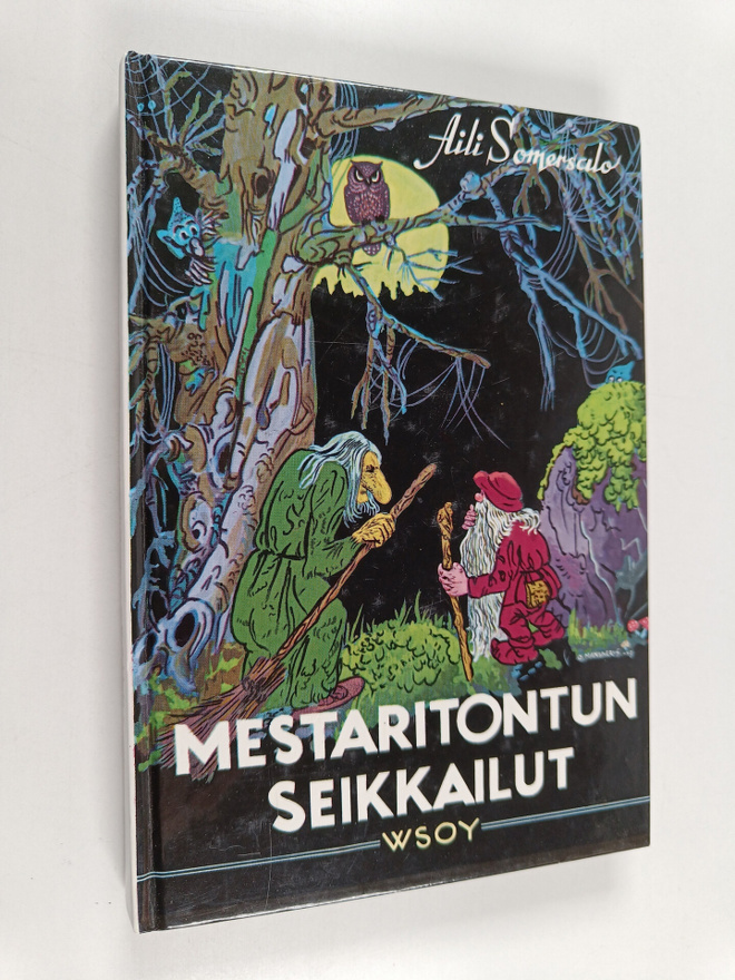 Aili Somersalo : Mestaritontun seikkailut