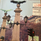 SANKARIMATKAILIJAN SOFIA - pikkukuva 1