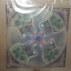 JUNIP- FIELDS UUSI 1ST PRESS 2010 2 LP - pikkukuva 2