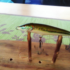 Rapala floating 7cm MN Ireland - pikkukuva 2