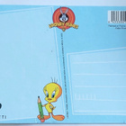 VIIKSI VALLU/LOONEY TUNES-KORTTI..KULKEMATON - pikkukuva 2