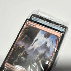 MTG - Avaamaton Battle for Zendikar Full Art Land Pack - pikkukuva 2