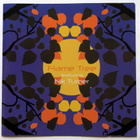 FLAME TREE Featuring NIK TURNER CD 2016 HUIPPUKUNTO - pikkukuva 1
