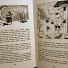 Moominland Midwinter (=Taikatalvi englanniksi) Tove Jansson - pikkukuva 4