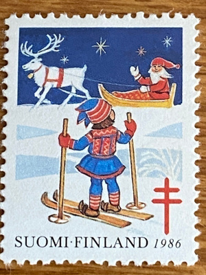 JOULUMERKKI PORO JA TONTTU**