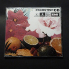 SIR ELWOODIN HILJAISET VÄRIT Kerran Elämässä+2 PROMO CDS. - pikkukuva 3