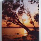 Lazar Istvan : Balaton : 157 photographs, tourist informa... - pikkukuva 2