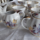 Lomonosov Golden Leafs teeastiasto 6 hengelle - pikkukuva 2