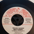 Ray Campi sinkku - pikkukuva 1