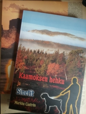 Castren - Kaamoksen hehku ja Sinetit / Sinetit ja Ajan Meri