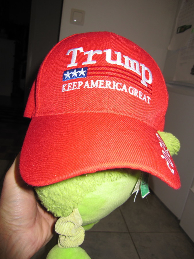 TRUMP - MAGA LIPPIS 2020