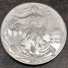1 oz 999 Hopea raha American Silver Eagle 2010 one dollar - pikkukuva 1