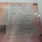 DOGS D'AMOUR - A GRAVEYARD OF... UK 1989 PRESS LP M-/EX - pikkukuva 2