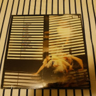 Siouxsie And The Banshees – Kaleidoscope lp Punk Sealed!! - pikkukuva 2