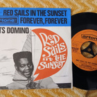 Fats Domino sinkku - pikkukuva 1