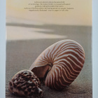 Robert Tucker Abbott : Kingdom of the Seashell - pikkukuva 2