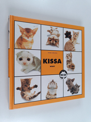 Kissa