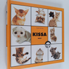 Kissa - pikkukuva 1