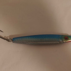 Meriuistin 75g - pikkukuva 1