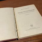 HUGO GYLLANDER NUORI BUURISANKARI 1934 - pikkukuva 2