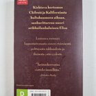 Isabel Allende : Rouva Fortunan tytär - pikkukuva 2