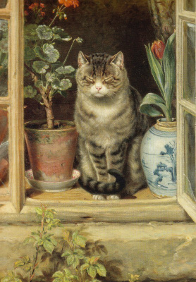 Ralph Hedley: Kissa ikkunalla