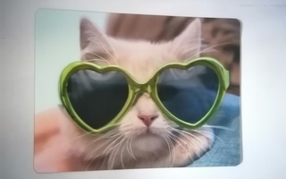 3d kortti kissalla aurinkolasit