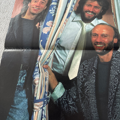 Bee Gees pikkujuliste