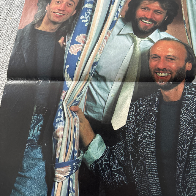Bee Gees pikkujuliste
