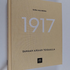 Ilkka Malmberg : 1917 - Samaan aikaan toisaalla - pikkukuva 1