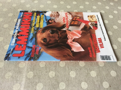 LEMMIKKI 12/1993 HYVÄ