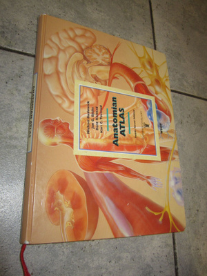 ANATOMIAN ATLAS