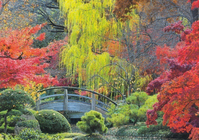 Japanilainen puutarha, sininen silta