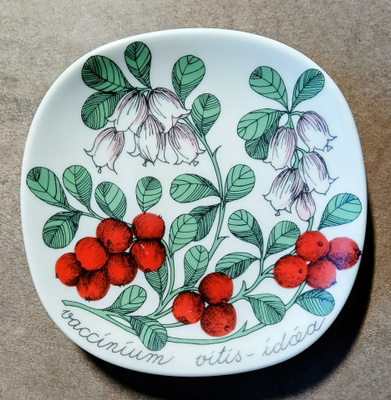 Arabia, Esteri Tomula, Botanica, Puolukka