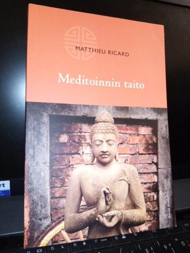Ricard : Meditoinnin taito ( SIS  POSTIKULU  )