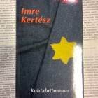 Kertesz Imre - Kohtalottomuus (pokkari) - pikkukuva 3