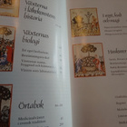 ÖRTMEDICIN OCH VÄXTMAGI - pikkukuva 2