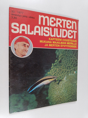Merten salaisuudet 33/1977