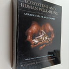 Robert Scholes : Ecosystems and human well-being vol 1 : ... - pikkukuva 1
